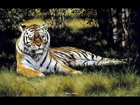 ПЛАН- ГОРОСКОП ДЛЯ