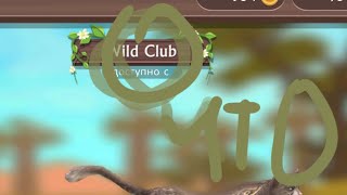 :       WILD Club  )        )