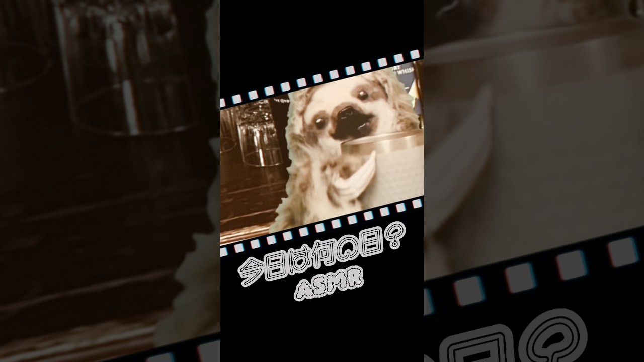 きょうはなんの日?ASMR#5月13日 #カクテルの日