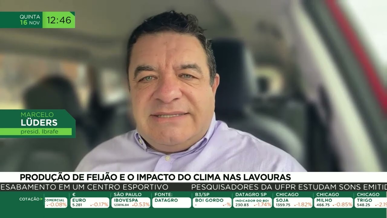 Produção de feijão e o impacto do clima nas lavouras