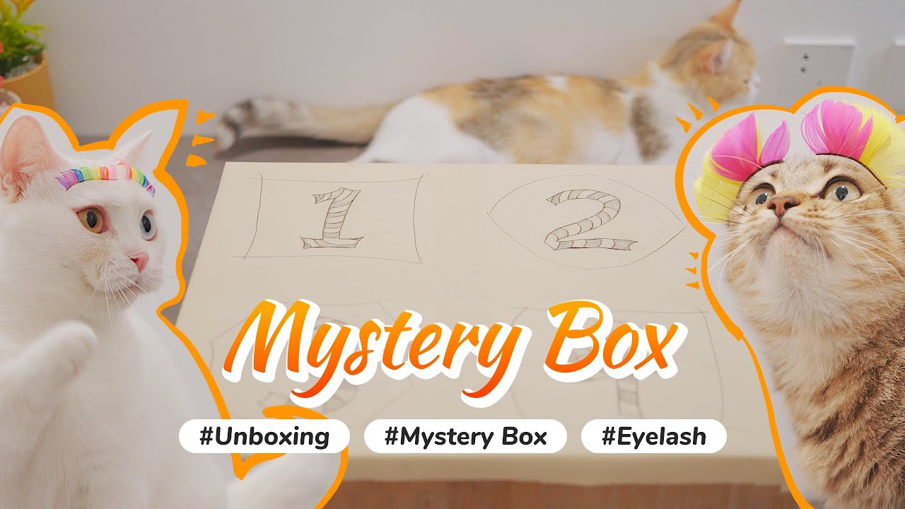 Cats Unboxing Mystery Box What Inside? 1️⃣Crazy Eyelash+2️⃣?+3️⃣?+4️⃣