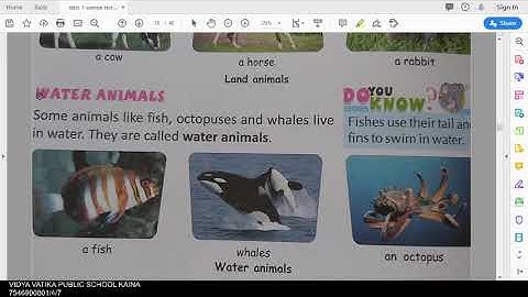class 1 science chapter 9 animals around us part 1
