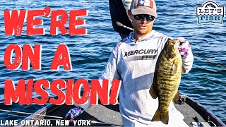 Download Lagu BASS FISHING IN NEW YORK! #26-2023 SouthEAST MP3