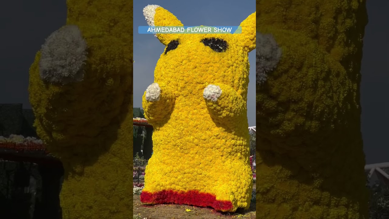 AHMEDABAD RIVERFRONT FLOWER SHOW 