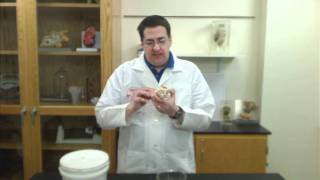 Which Preserved Specimen Preparation is Right for You?