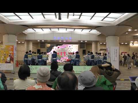 【公式】東京理科大学Yosakoiソーラン部 22年度演舞『想空唄』| 京都さくらよさこい　ゼスト御池会場２日目