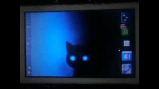 cat live wallpaper screenshot 3