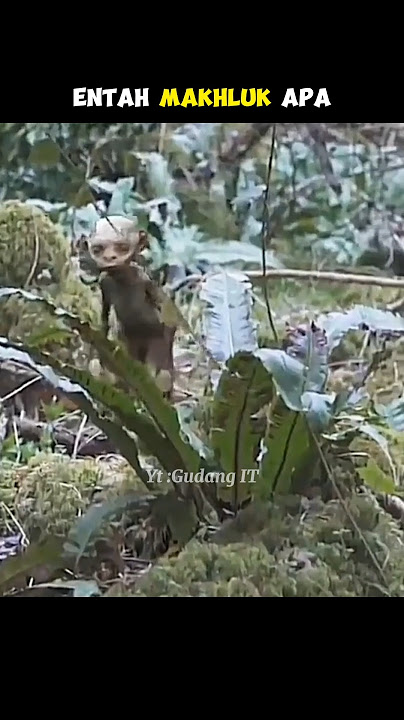 MAHLUK MITOLOGI MENYERAMKAN YANG TEREKAM KAMERA #gudangit #shorts