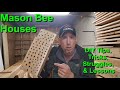 DIY Mason Bee Houses: Struggles, Lessons, and Sustainable Beekeeping Efforts