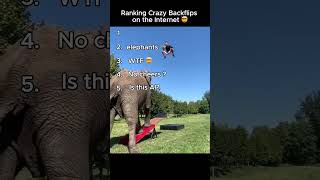 Ranking CRAZY backflips on the internet 🔥 🤯🤯 #backflip #backflipping #speed #ishowspeed #ai