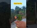 Betjo Test Free Fly #parrot #betetjawa #birds #burung