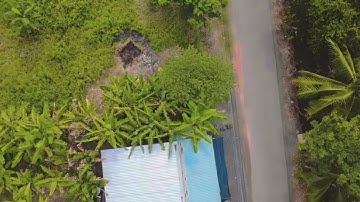 1HA ĐẤT LÚA MỸ LỘC – CÁCH QUỐC LỘ 50 CHỈ 1KM – GIÁ MỀM CHO NHÀ ĐẦU TƯ! #muabandatgiare #bđsgiare