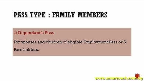 Time Attendance System Singapore : Work Passes and Permits Type Part 2