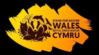 Wildlife, Wales, And The World - Amber Talks About The Youth Manifesto