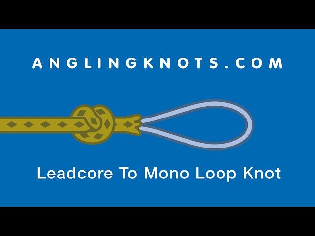How to Tie The Leadcore To Mono Loop Knot 