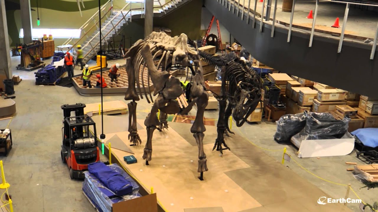 Perot Museum Of Nature And Science Celebrates Dinosaurs This Summer