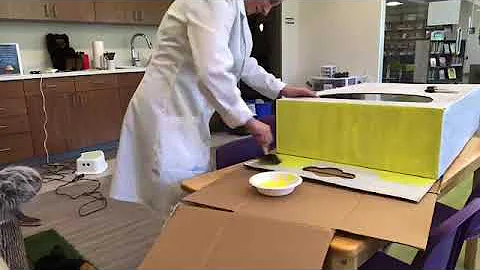 Cardboard Crayon Box