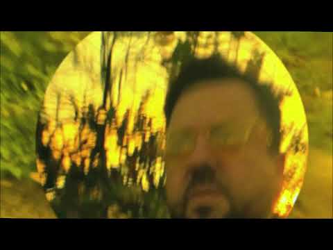 Stellarays — Stellarays - Baby Bees