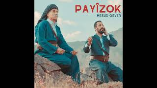 Payîzok(1080P_)