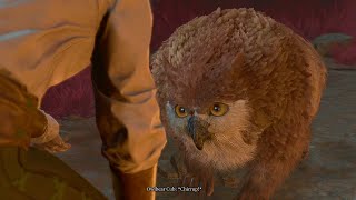 Companions React To OwlBear Cub Visiting Camp - Baldur's Gate 3