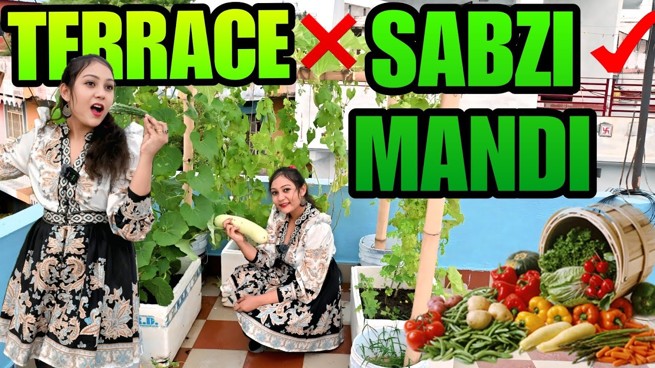 葉っぱbeautiful people Terrace gardening level: sabzi mandi❌😭🌿Itni Sabzi Kaun Khayega