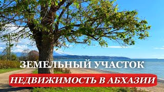 НЕДВИЖИМОСТЬ в АБХАЗИИ. 2025. РАЙОН "Белая речка". ЗЕМЕЛЬНЫЙ участок с ВИДОМ на МОРЕ и горы