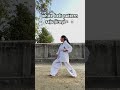 White Belt Pattern Saju Jirogi Taekwondoitf Taekwondoitf Martialart Itf 