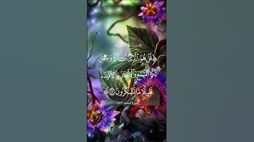 قرآن كريم #سبحان_الله #الحمدلله #ترند #اكسبلور #رمضان_كريم #اللهم_صل_وسلم_على_نبينا_محمد