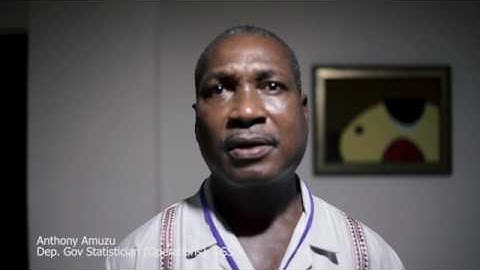 Mr. Anthony Amuzu (Deputy Government Statistician)