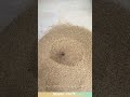 Leave a roof hole for quick rice gathering! #tips