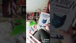I Love Books