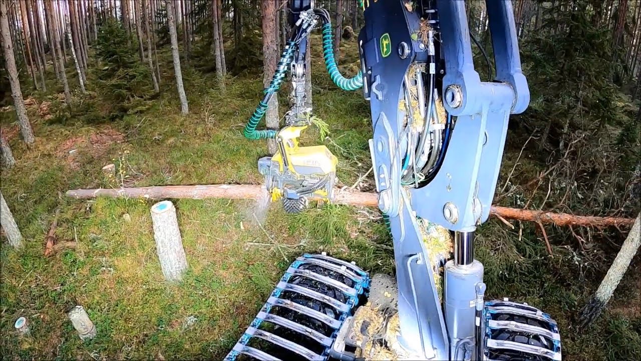 Sista gallring tall JD 1170g h212