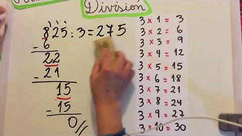 División 5° básico