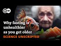 Why fasting is unhealthier as you get older - Science unscripted