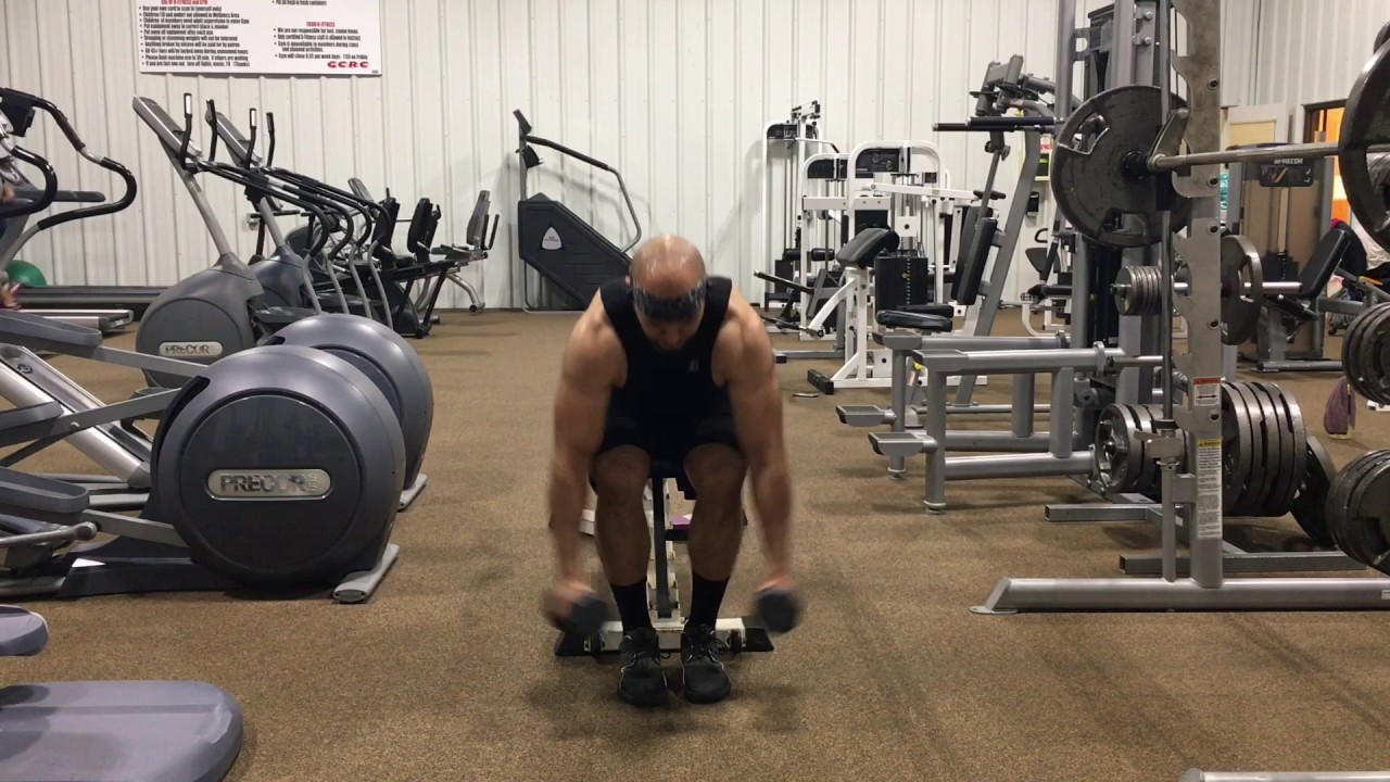 DB Bent Over Reverse Fly - YouTube