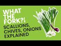 Chives, Scallions, Green Onions, Spring Onions, Green Garlic, Oh My! WTF?!