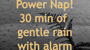 Gentle summer rain 30 minutes + 1 min wake- up buzzer - Best Ambient nature sounds for power nap