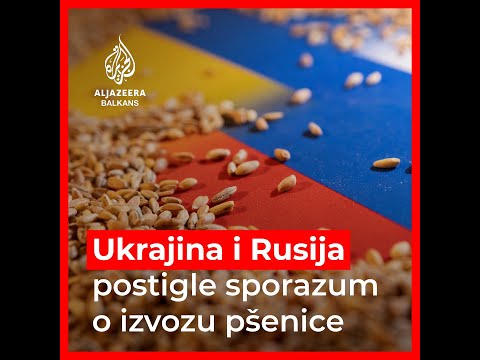 Postignut dogovor o izvozu pšenice iz Ukrajine