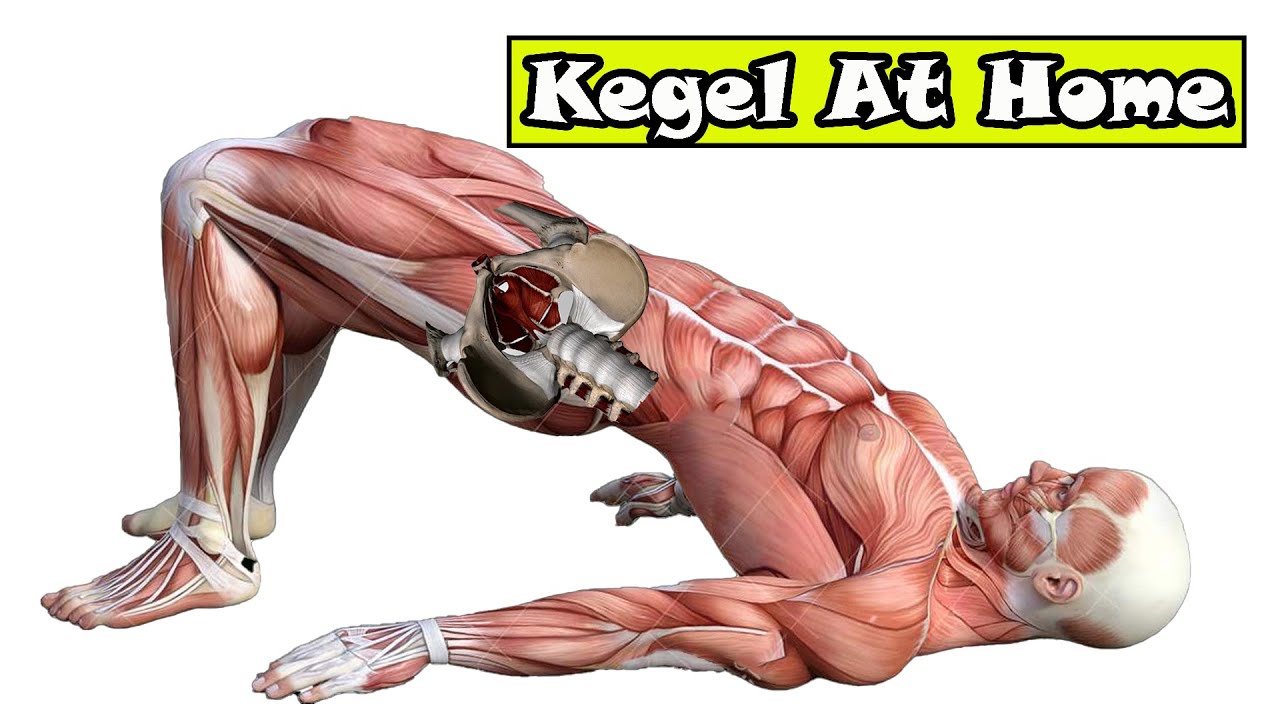 Man www for kegel exercise Best Kegel