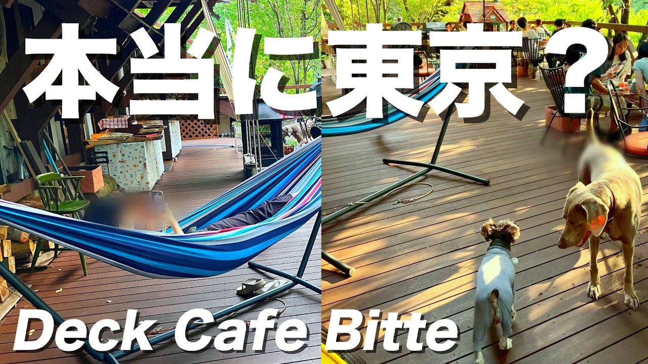 なぜ何度も通ってしまうのか？｜絶景テラスと絶品ドイツビール【犬連れOK MITAKE Bitte】