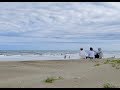 想い出の渚/ワイルドワンズ