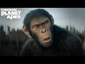 Kingdom of the planet of the apes i memorial day