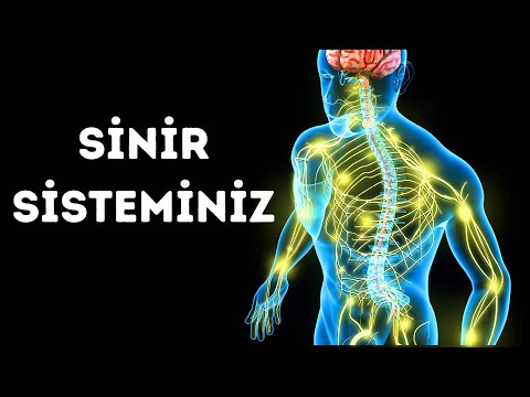 Video: Sindirim Sisteminize Bakmanın 3 Yolu