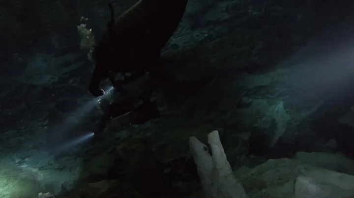 Dos Ojos Batcave 1