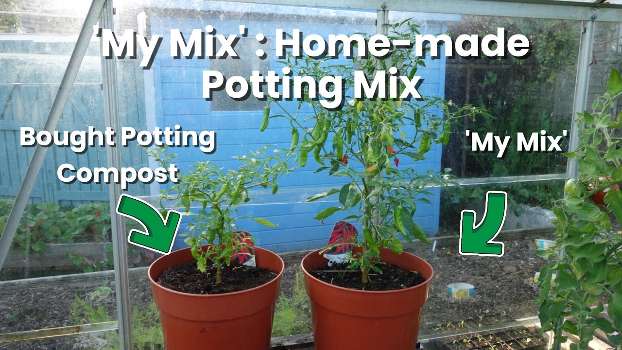 'My Mix'  | The Best Home-made Potting Mix