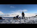 Aavarneq 2021 - Rensdyrjagt 2021 - Reindeer hunting 2021 Greenland