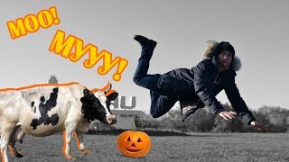VLOG: Рассвет за городом + Общительная КОРОВА | Speaking COW by #FTWRabbit VLOG: Рассвет за городом + Общительная КОРОВА | Speaking COW by #FTWRabbit