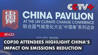 COP30 Attendees Highlight China’s Impact on Emissions Reduction