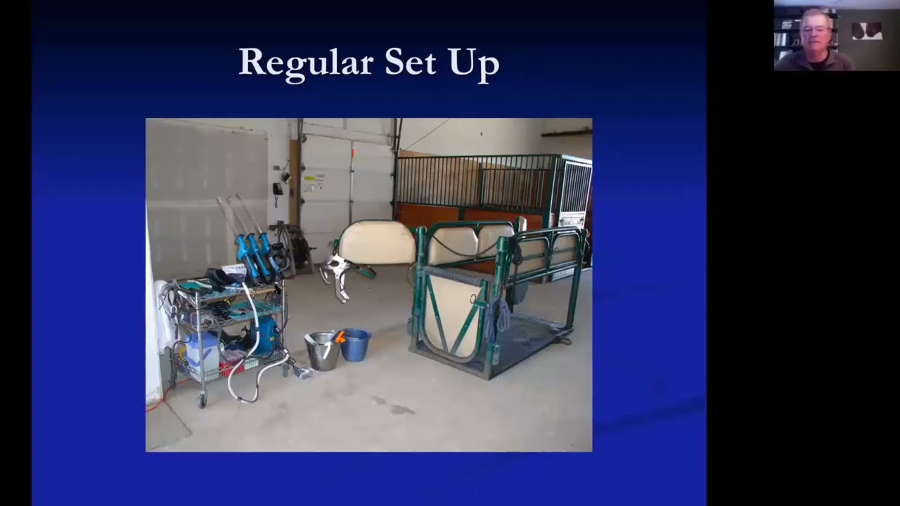 Equine Dentistry Setup Tips for Mobile Veterinary Practice