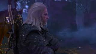 Famous The Witcher 3 Roach is the real witcher Net Worth